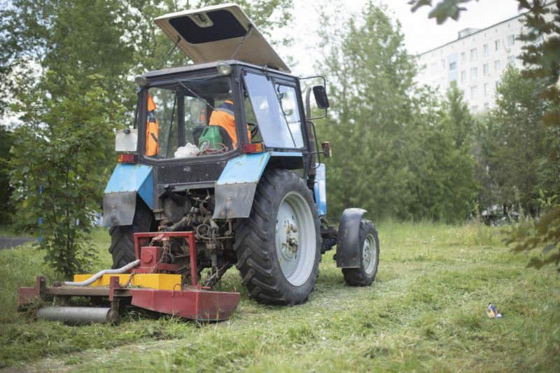 Bush Hogging Services